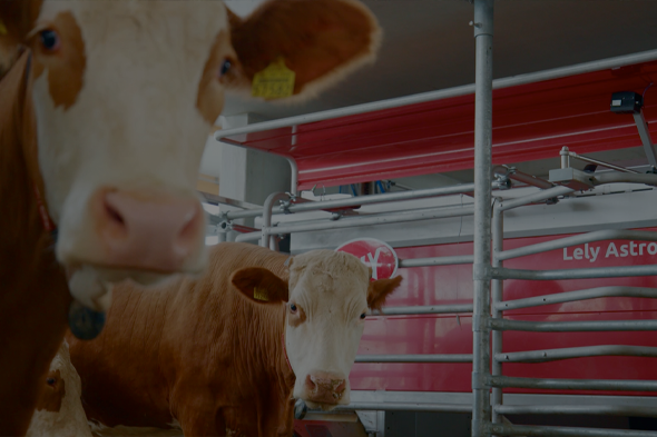 Foto Melk- und Fütterungstechnik