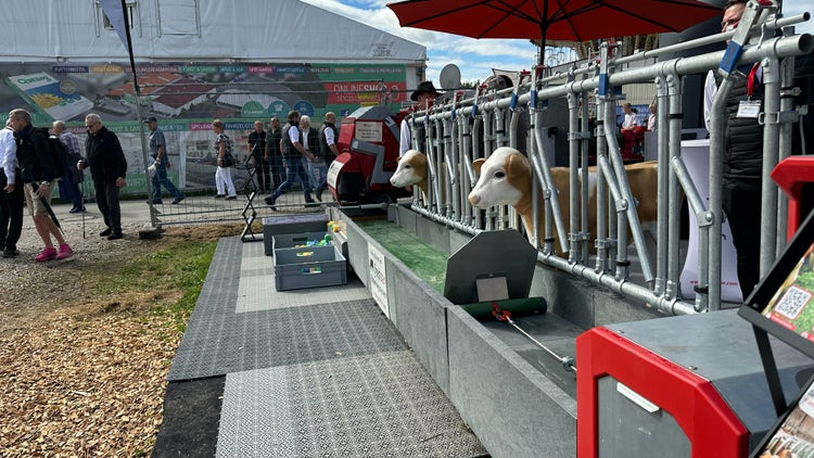 Foto des feedstar Futterbandes mit 2 Kuhatrappen auf der Rottalschau