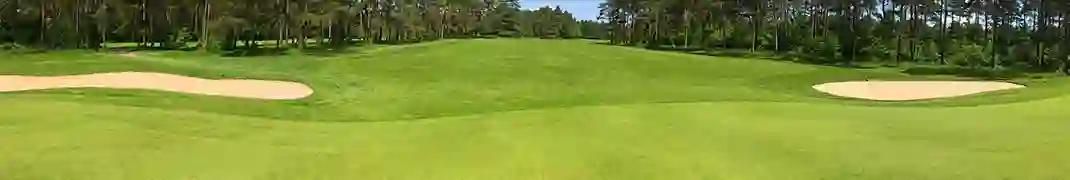 Bild eines Golfplatzes